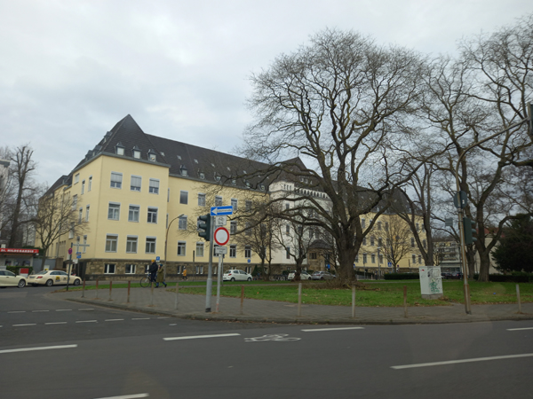 Immobilienmakler Köln Lindenthal